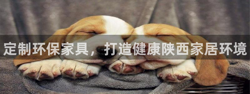 杏耀登入测速