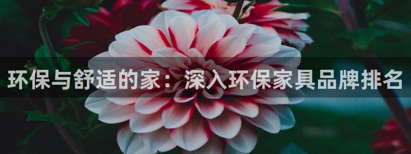 杏耀平台官方登陆