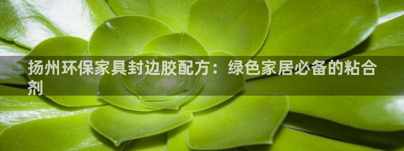 杏耀平台代理注册多少钱一年