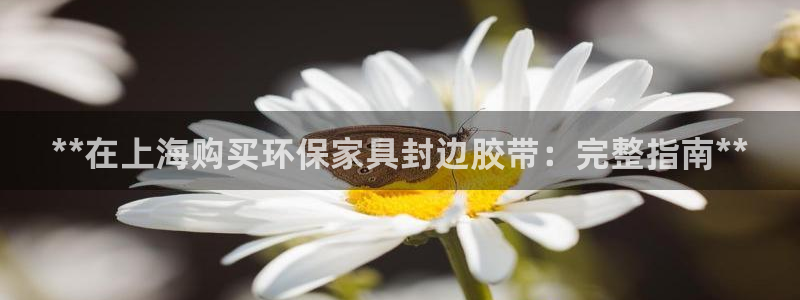 杏耀线路测速登录中心