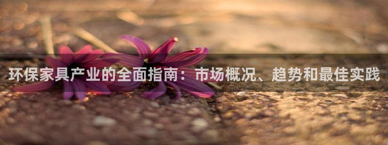 杏耀代理连接