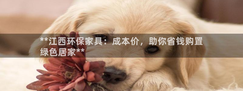 杏耀官网app：**江西环保家具：成本价，助你省钱购置
绿色