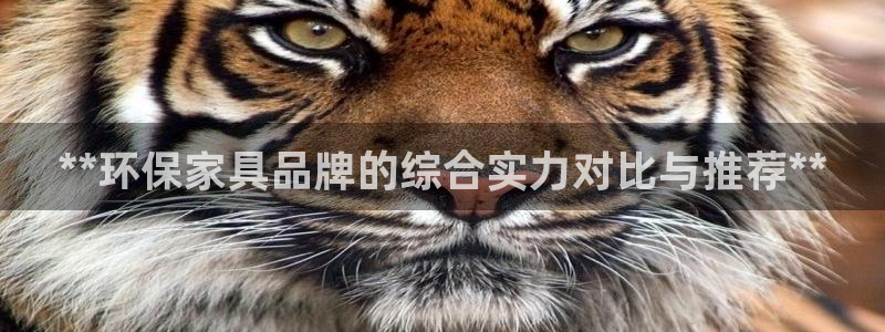 杏耀平台登陆官网