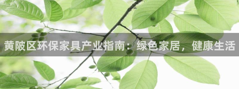 杏耀平台专用通道