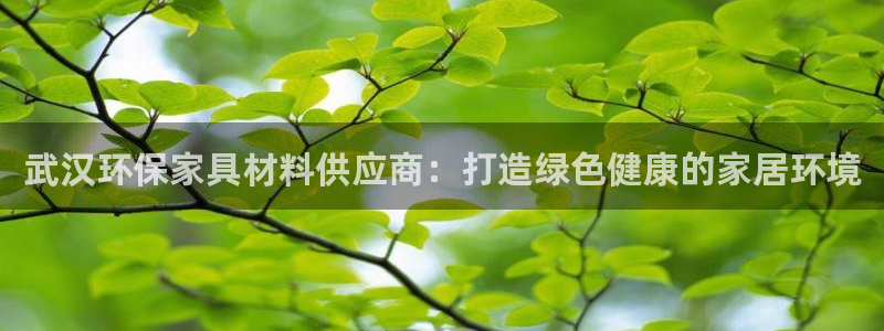 杏耀开户app下载：武汉环保家具材料供应商：打造绿色健康的家