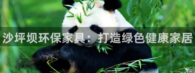 杏耀平台代理登录网址是什么：沙坪坝环保家具：打造绿色健康家居