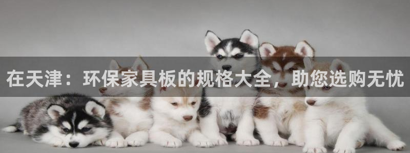 杏耀官方注册中心：在天津：环保家具板的规格大全，助您选购无忧