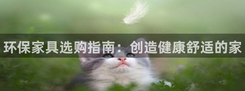 杏耀平台官网下载：环保家具选购指南：创造健康舒适的家