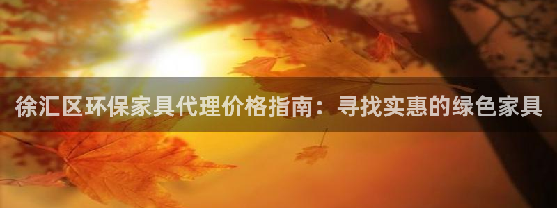 杏耀官方注册中心：徐汇区环保家具代理价格指南：寻找实惠的绿色