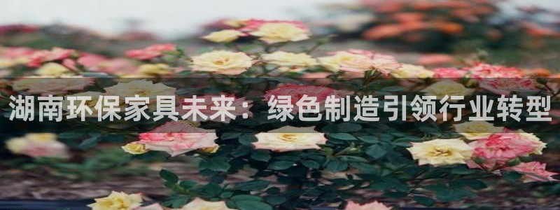杏耀平台指定