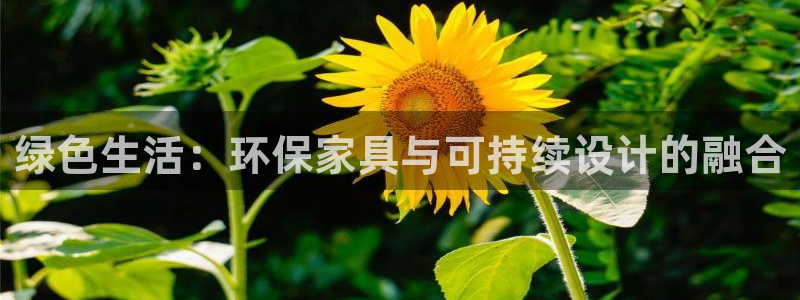 杏耀登陆线路