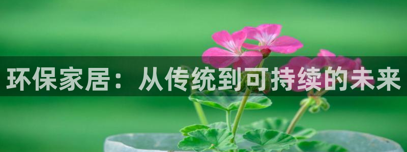 杏耀主管qq