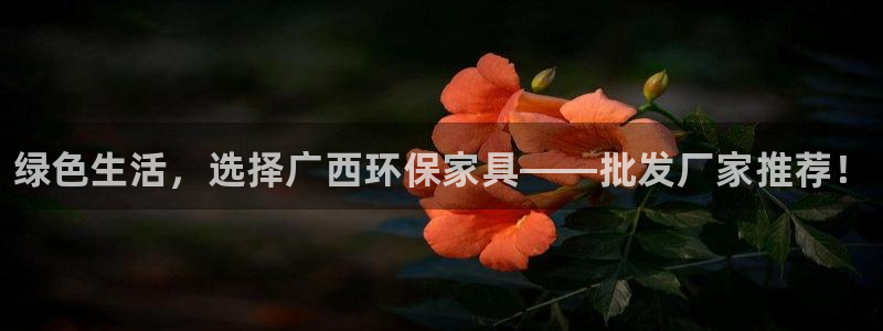 杏耀官网app：绿色生活，选择广西环保家具——批发厂家推荐！