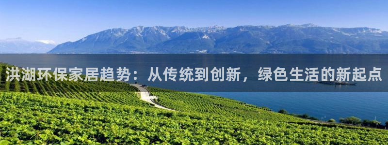 杏耀平台手机：洪湖环保家居趋势：从传统到创新，绿色生活的新起