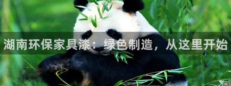 杏耀平台得专用通道