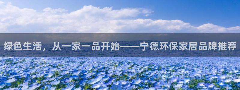 杏耀平台代理注册：绿色生活，从一家一品开始——宁德环保家居品