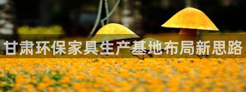 杏耀平台代理注册多少钱：甘肃环保家具生产基地布局新思路