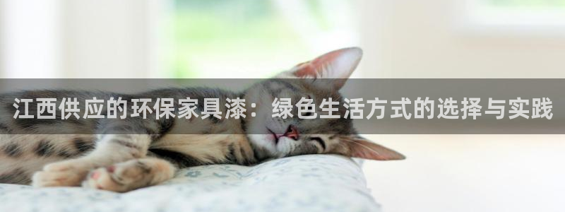 杏耀平台专用通道：江西供应的环保家具漆：绿色生活方式的选择与