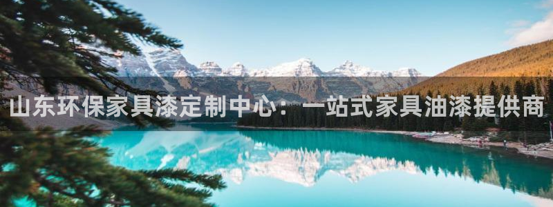 杏耀代理连接：山东环保家具漆定制中心：一站式家具油漆提供商