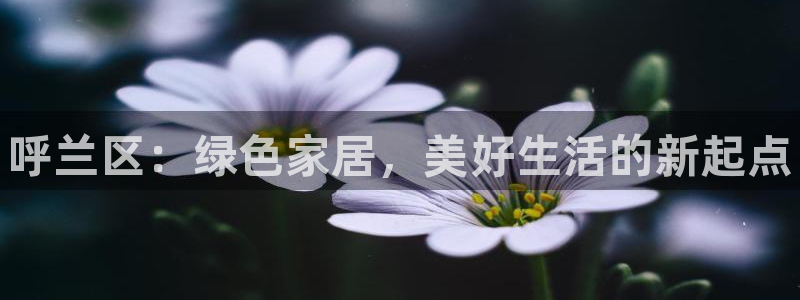 杏耀平台是真的吗