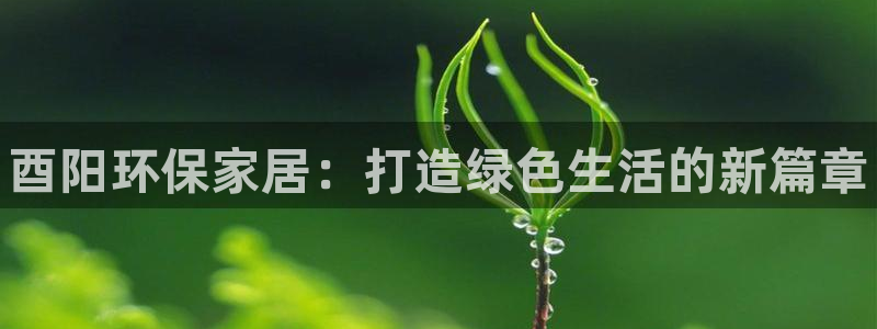 杏耀官网app：酉阳环保家居：打造绿色生活的新篇章