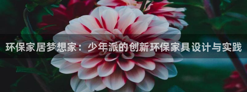 杏耀网页手机登录：环保家居梦想家：少年派的创新环保家具设计与